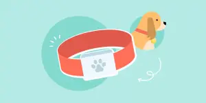 Best Dog Fitness Trackers