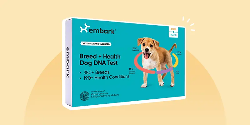 Embark DNA test review