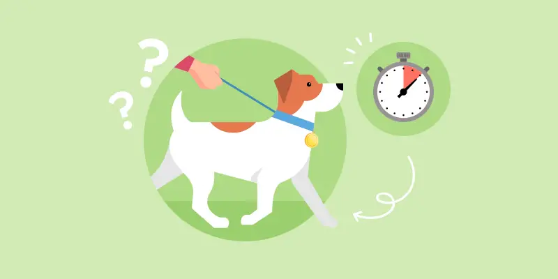 How much exercise should your dog get?