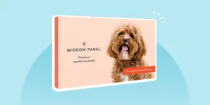Wisdom Panel Dog DNA test review
