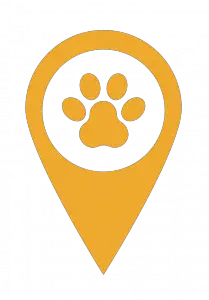 The pet journey icon