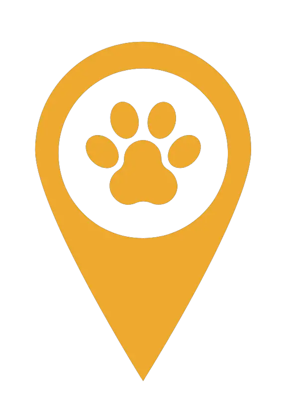 The pet journey icon