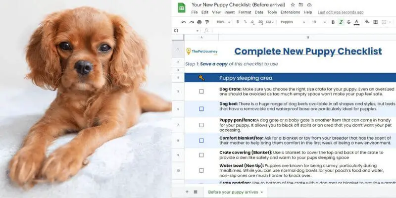 Complete new puppy checklist