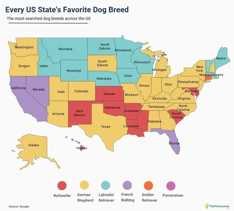 Every US states favorite dog breed v2